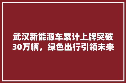 武汉新能源车累计上牌突破30万辆，绿色出行引领未来潮流  第1张