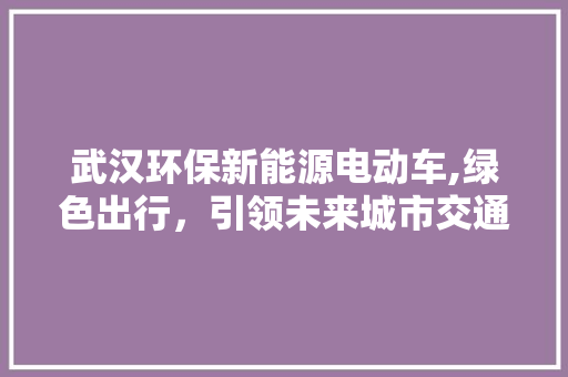 武汉环保新能源电动车,绿色出行，引领未来城市交通新风尚  第1张