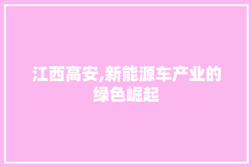 江西高安,新能源车产业的绿色崛起