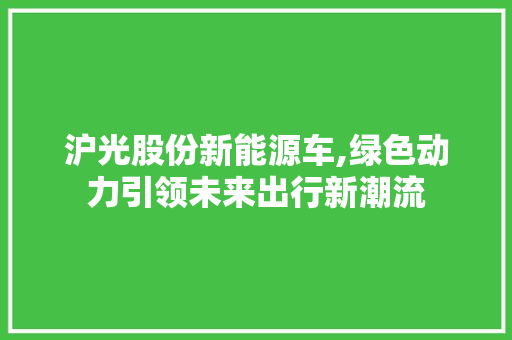 沪光股份新能源车,绿色动力引领未来出行新潮流