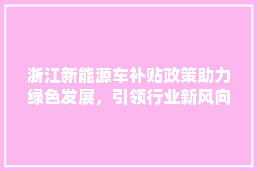 浙江新能源车补贴政策助力绿色发展，引领行业新风向  第1张