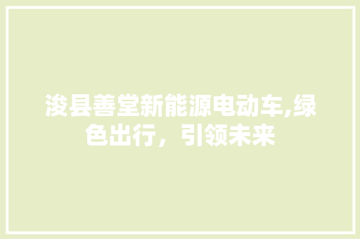 浚县善堂新能源电动车,绿色出行，引领未来  第1张