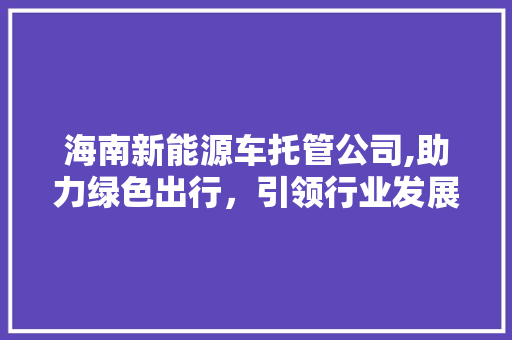 海南新能源车托管公司,助力绿色出行，引领行业发展新潮流  第1张