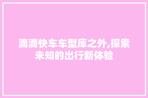 滴滴快车车型库之外,探索未知的出行新体验  第1张