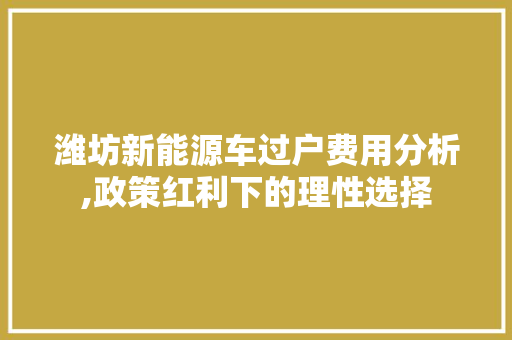 潍坊新能源车过户费用分析,政策红利下的理性选择  第1张