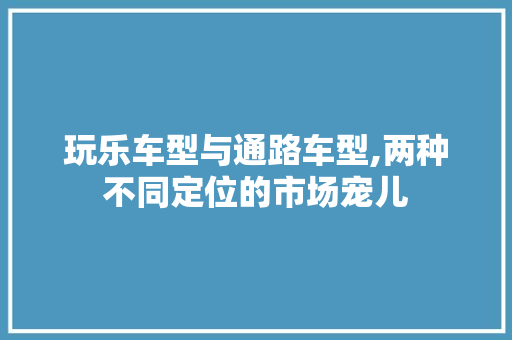 玩乐车型与通路车型,两种不同定位的市场宠儿  第1张