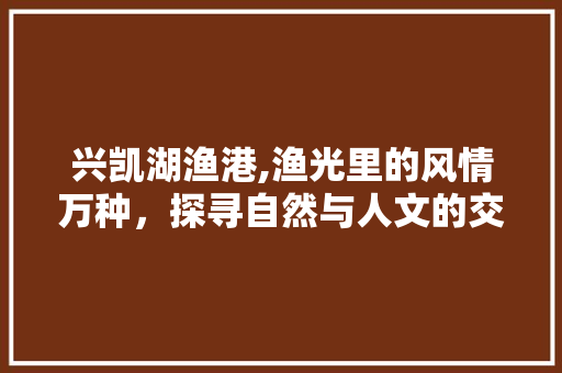 兴凯湖渔港,渔光里的风情万种，探寻自然与人文的交融之地