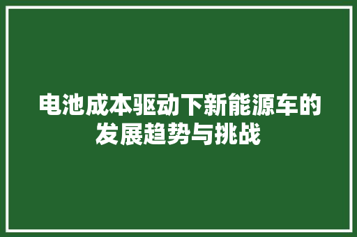 电池成本驱动下新能源车的发展趋势与挑战  第1张