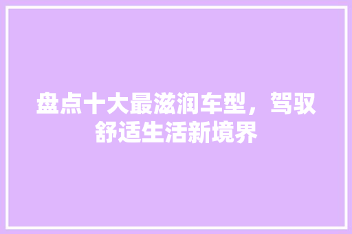 盘点十大最滋润车型，驾驭舒适生活新境界