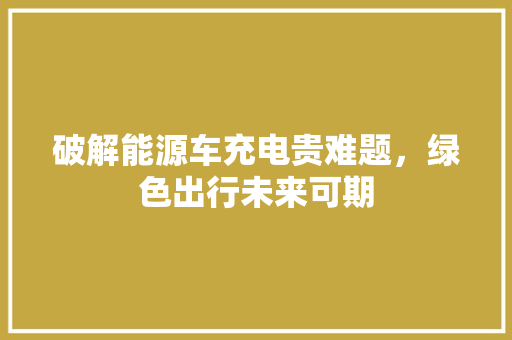 破解能源车充电贵难题，绿色出行未来可期  第1张
