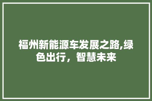 福州新能源车发展之路,绿色出行，智慧未来  第1张