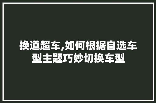 换道超车,如何根据自选车型主题巧妙切换车型  第1张