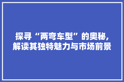 探寻“两弯车型”的奥秘,解读其独特魅力与市场前景