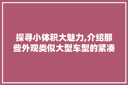 探寻小体积大魅力,介绍那些外观类似大型车型的紧凑型车