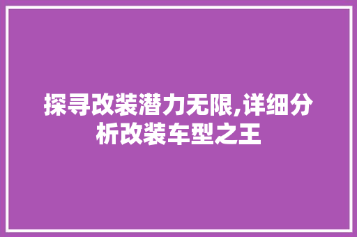 探寻改装潜力无限,详细分析改装车型之王