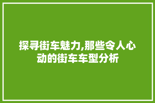 探寻街车魅力,那些令人心动的街车车型分析  第1张