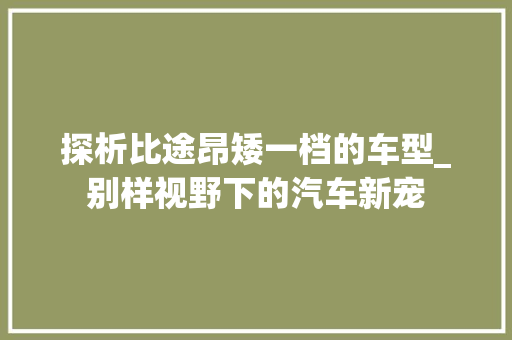 探析比途昂矮一档的车型_别样视野下的汽车新宠  第1张