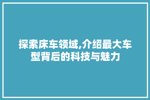 探索床车领域,介绍最大车型背后的科技与魅力  第1张