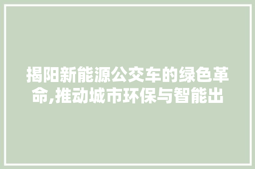 揭阳新能源公交车的绿色革命,推动城市环保与智能出行  第1张