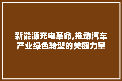 新能源充电革命,推动汽车产业绿色转型的关键力量  第1张