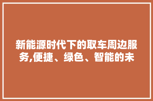 新能源时代下的取车周边服务,便捷、绿色、智能的未来出行之路  第1张