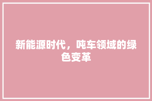 新能源时代，吨车领域的绿色变革  第1张