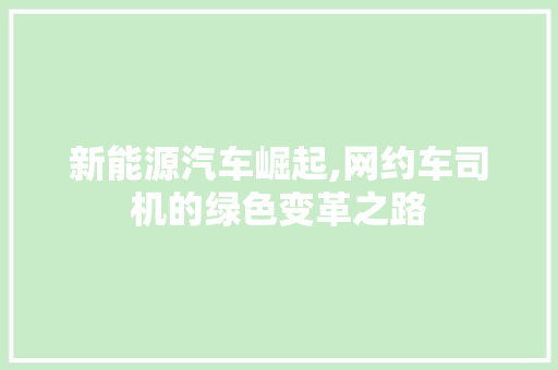 新能源汽车崛起,网约车司机的绿色变革之路  第1张
