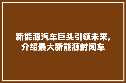 新能源汽车巨头引领未来,介绍最大新能源封闭车
