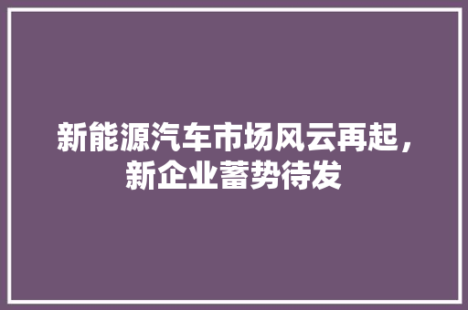 新能源汽车市场风云再起，新企业蓄势待发  第1张