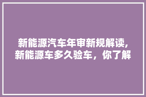 新能源汽车年审新规解读,新能源车多久验车，你了解多少
