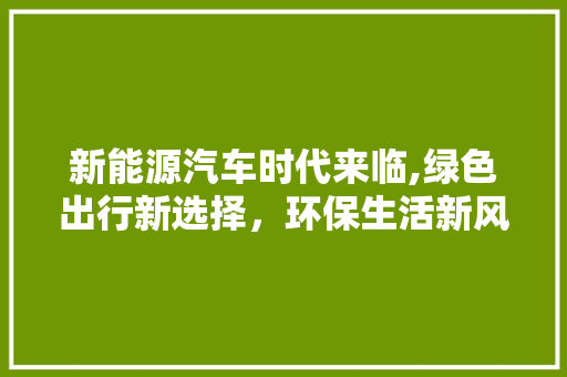 新能源汽车时代来临,绿色出行新选择，环保生活新风尚  第1张