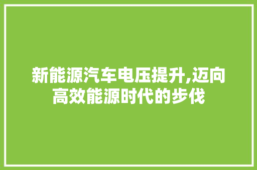 新能源汽车电压提升,迈向高效能源时代的步伐