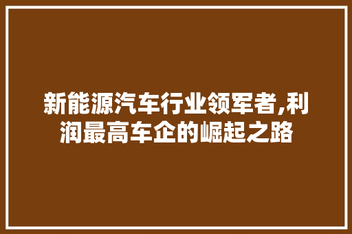 新能源汽车行业领军者,利润最高车企的崛起之路  第1张