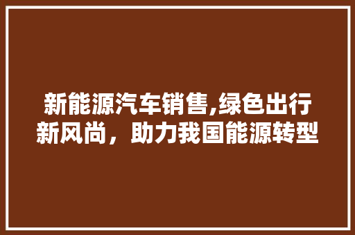 新能源汽车销售,绿色出行新风尚，助力我国能源转型  第1张