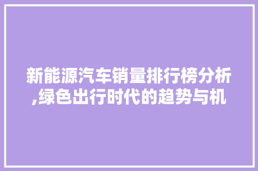 新能源汽车销量排行榜分析,绿色出行时代的趋势与机遇  第1张