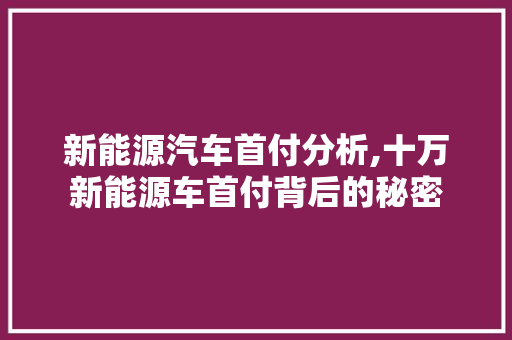 新能源汽车首付分析,十万新能源车首付背后的秘密  第1张