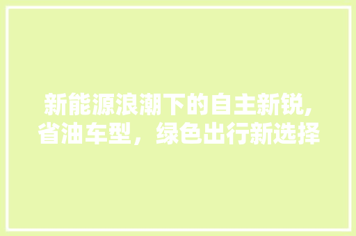 新能源浪潮下的自主新锐,省油车型，绿色出行新选择