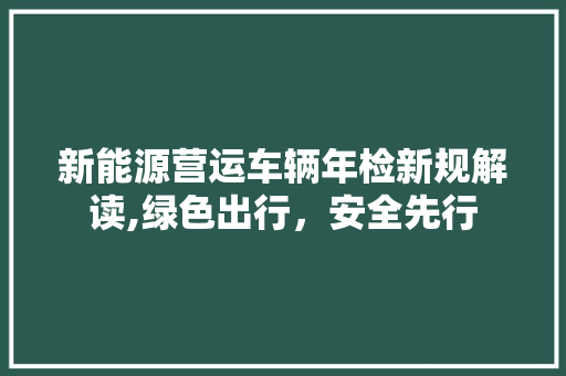 新能源营运车辆年检新规解读,绿色出行，安全先行