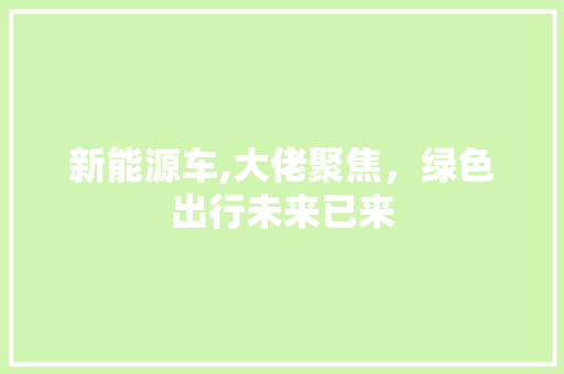 新能源车,大佬聚焦，绿色出行未来已来  第1张