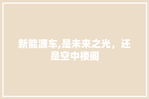新能源车,是未来之光，还是空中楼阁  第1张