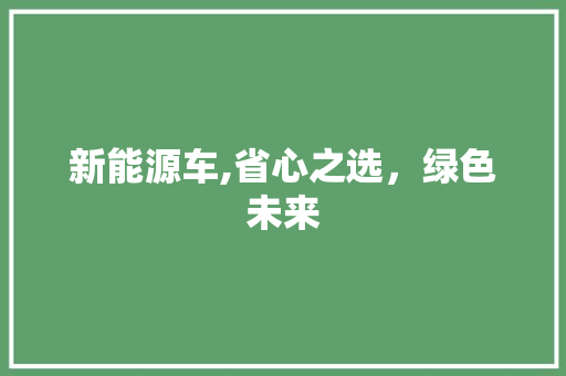 新能源车,省心之选，绿色未来  第1张