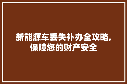 新能源车丢失补办全攻略,保障您的财产安全