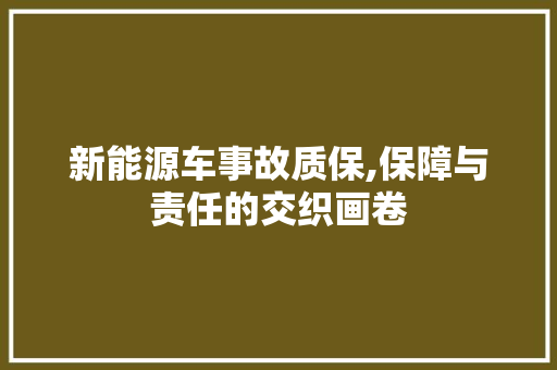 新能源车事故质保,保障与责任的交织画卷  第1张
