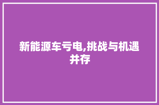 新能源车亏电,挑战与机遇并存  第1张