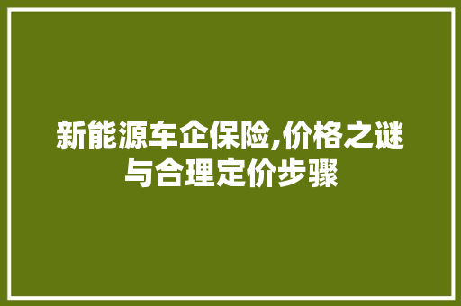新能源车企保险,价格之谜与合理定价步骤