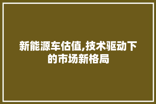 新能源车估值,技术驱动下的市场新格局