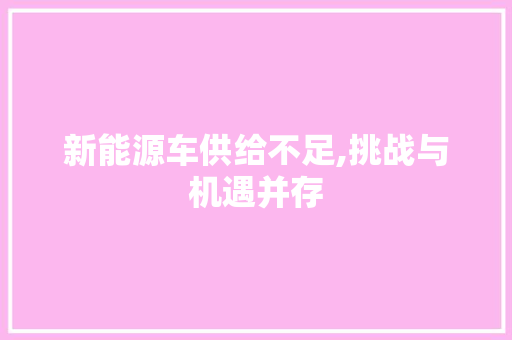 新能源车供给不足,挑战与机遇并存