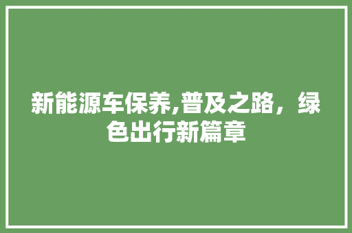 新能源车保养,普及之路，绿色出行新篇章