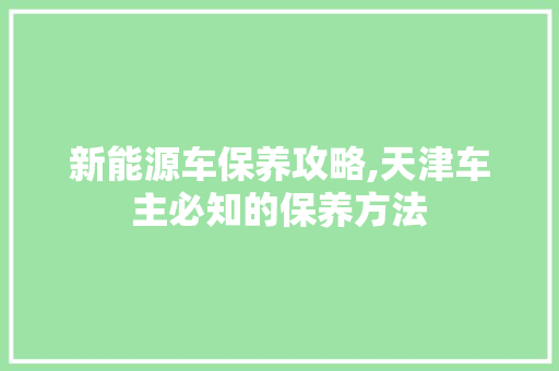 新能源车保养攻略,天津车主必知的保养方法
