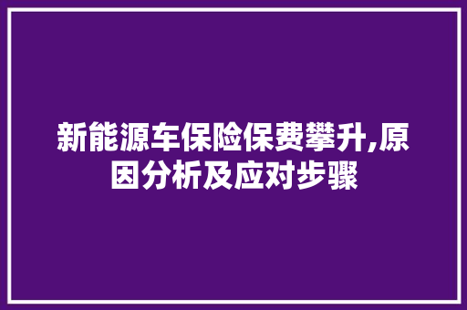 新能源车保险保费攀升,原因分析及应对步骤